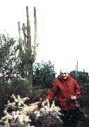 Julia (Judy) Kish Dorrough; Arizona; Cactus